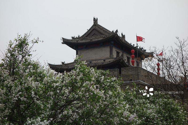 陕西西安明城墙西安城墙：西门外安定门外环城公园白色丁香花盛开图片素材