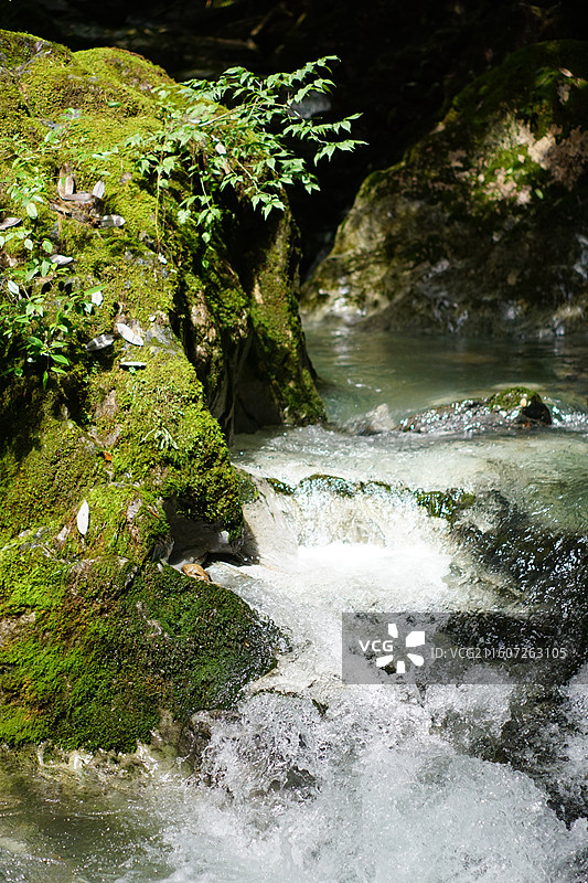 神农架景区风景图片素材