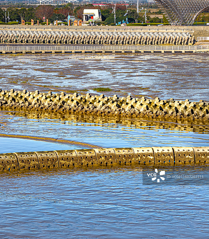 生态泡 潮间带圆形人工围堰浅水湿地 保护候鸟迁徙栖息环境 上海临港海洋生态修复 浦东南汇东滩湿地图片素材