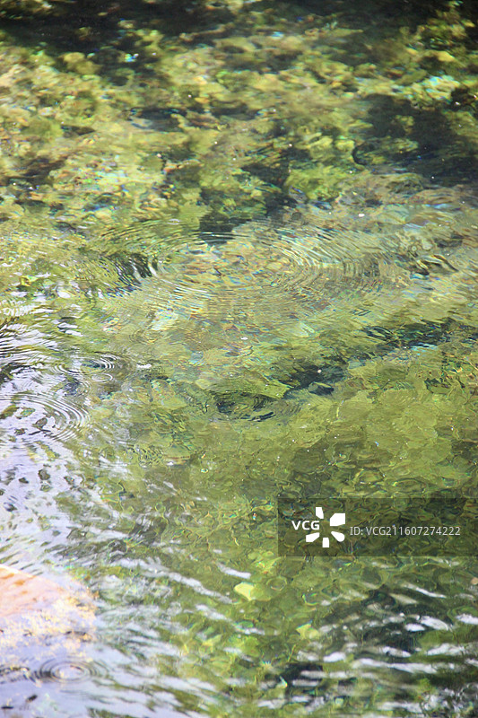 济南白石泉清澈泉水图片素材