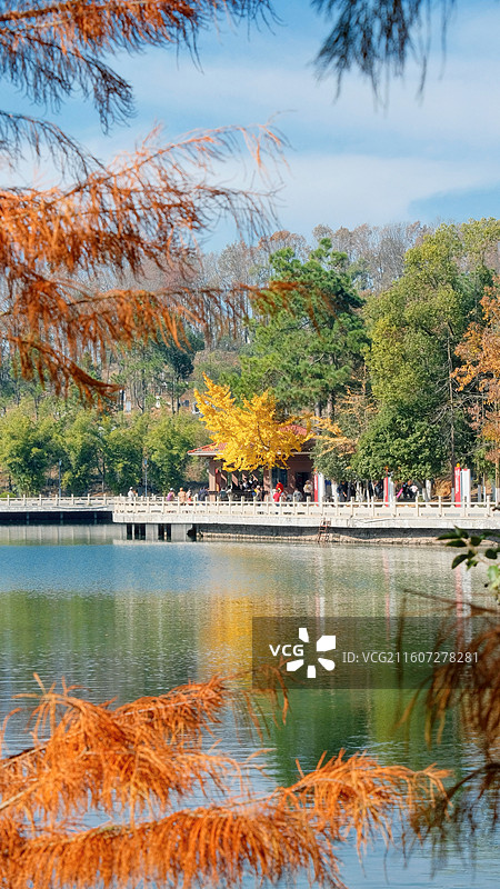 武汉九真山连理湖图片素材