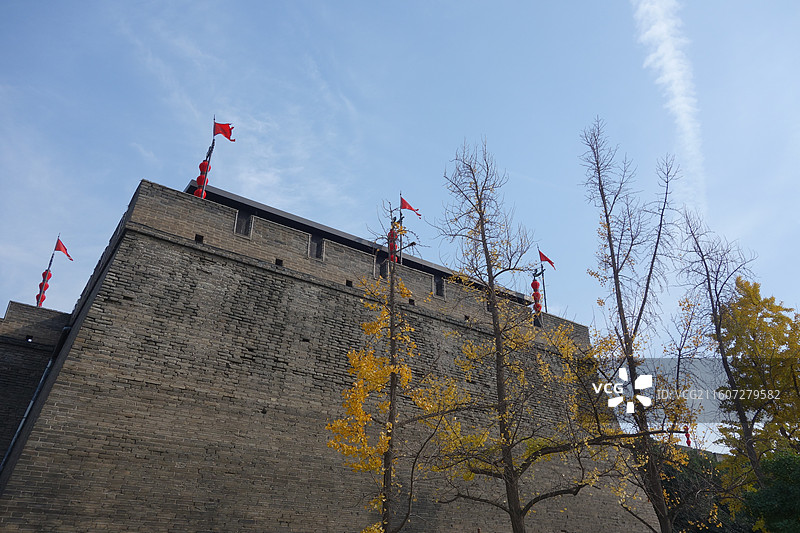 陕西西安明城墙西安城墙：安定门外西门外环城公园银杏秋景图片素材