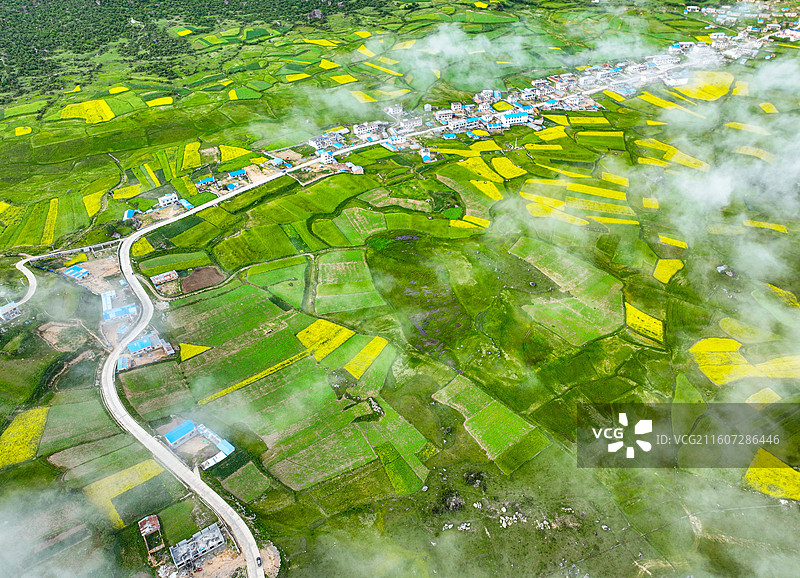 日喀则-青稞之乡08图片素材