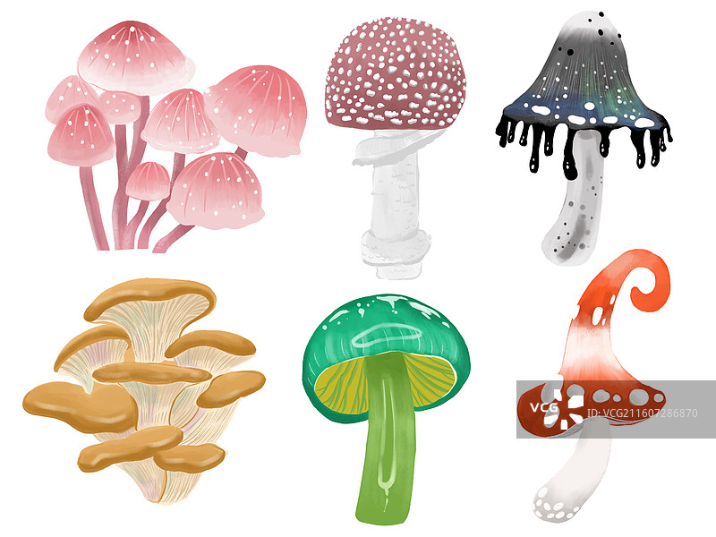蘑菇组合图片素材
