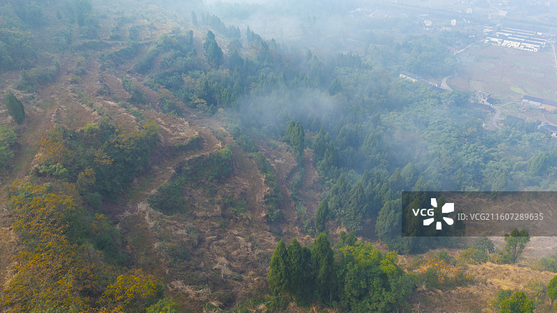 航拍晨雾云海山区森林彩林水墨青山秋天乡村振兴梯田云雾弥漫仙境图片素材