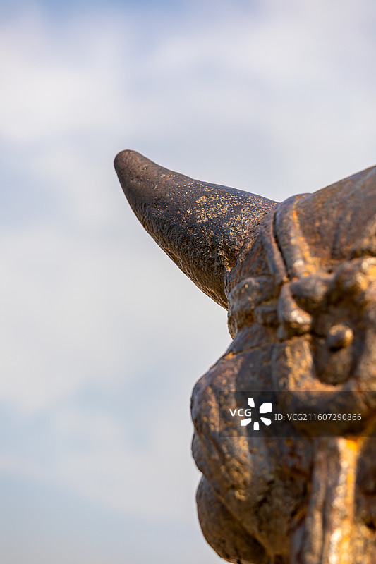 运城永济市蒲津渡遗址唐代黄河大铁牛铸像特写图片素材