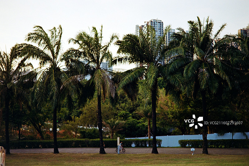 深圳中山公园，彩色胶片摄影图片素材