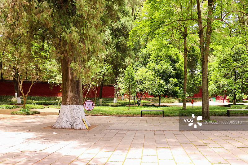 汉中勉县武侯墓，绿化以参天古木为核心，墓园内古柏森森，现存22株，树龄逾1700年，高大挺拔图片素材