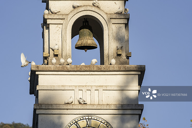 湖州德清莫干山风光 庾村广场白鸽特写图片素材