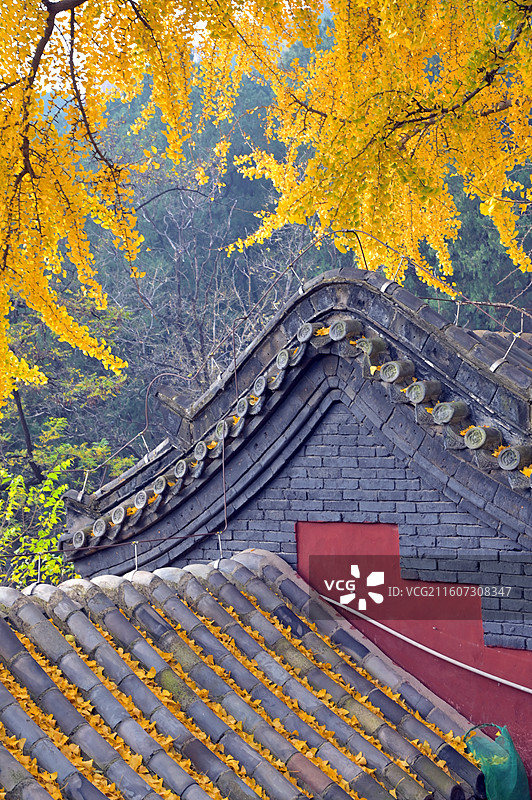 秋天泰山风景名胜区内的古建筑斗母宫图片素材