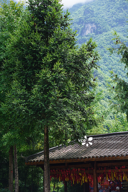 神农架景区风景图片素材