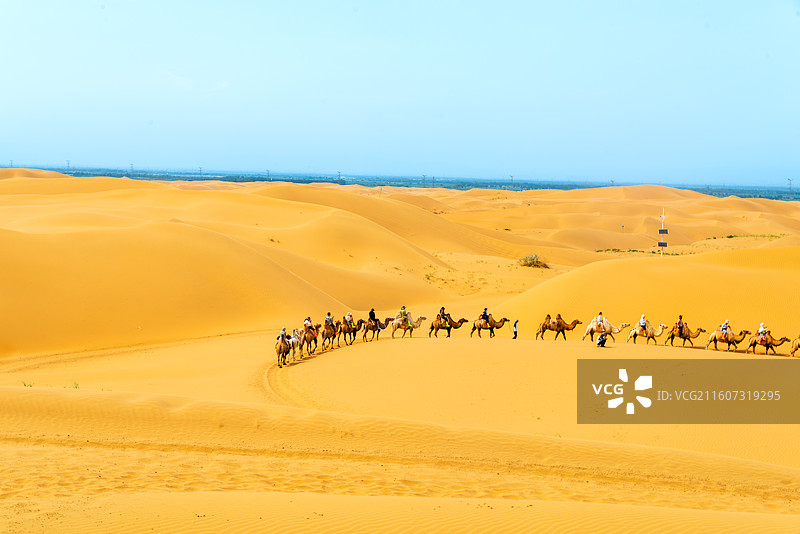 内蒙古鄂尔多斯市达拉特旗响沙湾-驼队图片素材