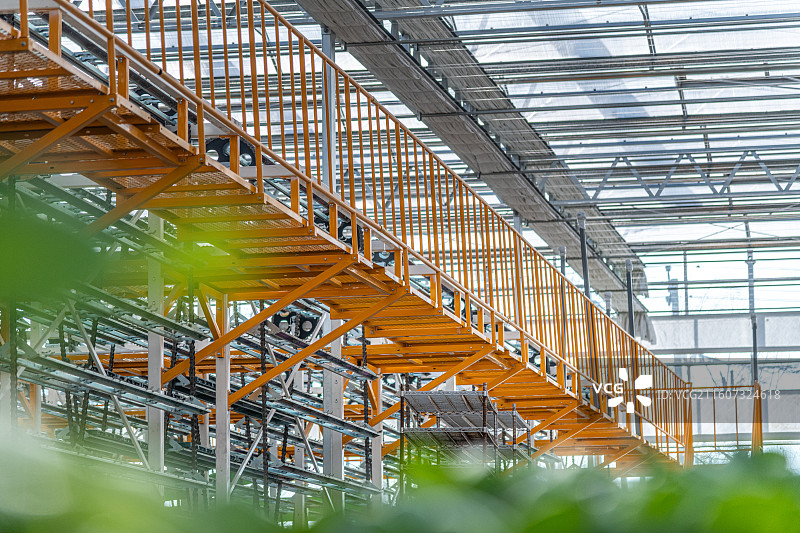 新疆 乌鲁木齐 米东区  育苗工厂 温室大棚图片素材