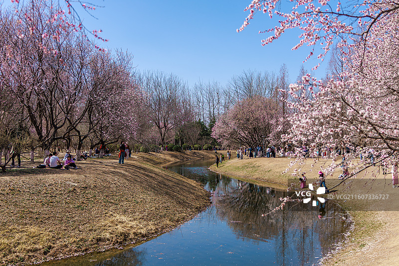 北京奥森北园·桃花溪图片素材