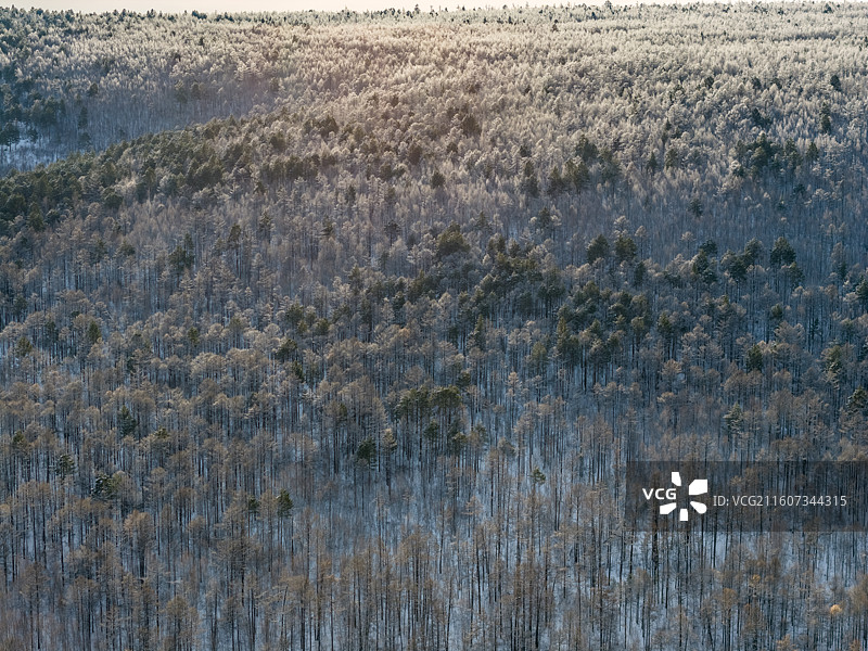 大兴安岭林海雪原图片素材