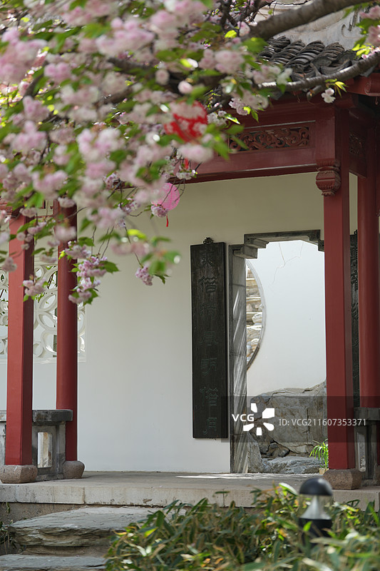 北京 春天 长富宫饭店 八重樱 染井吉野 樱花图片素材