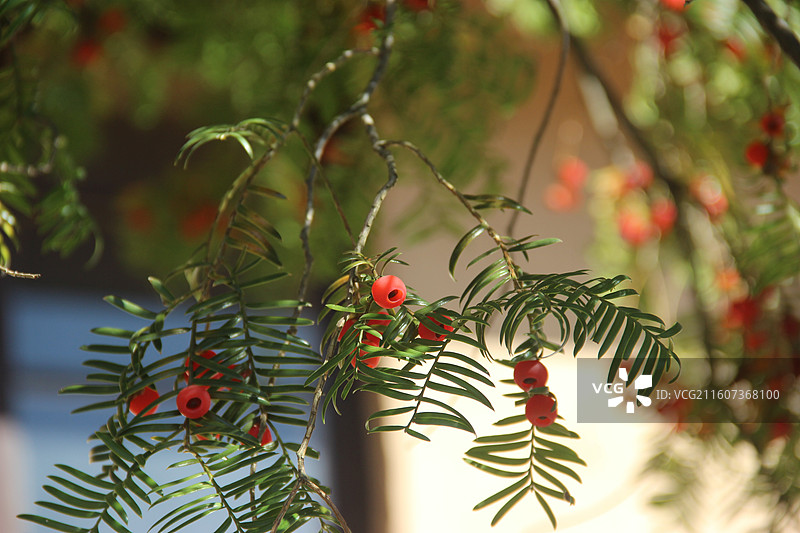杭州 临安 神龙川风景区 临川古道 户外 徒步 旅游 风景图片素材