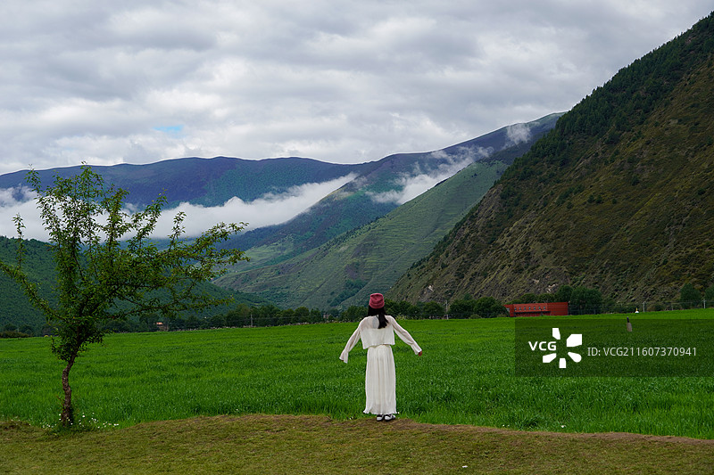 川西新都桥甲根坝青稞田中的白衣女子背影图片素材