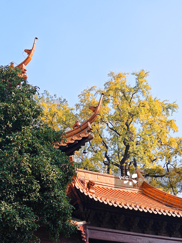 南京朝天宫大成殿秋色图片素材