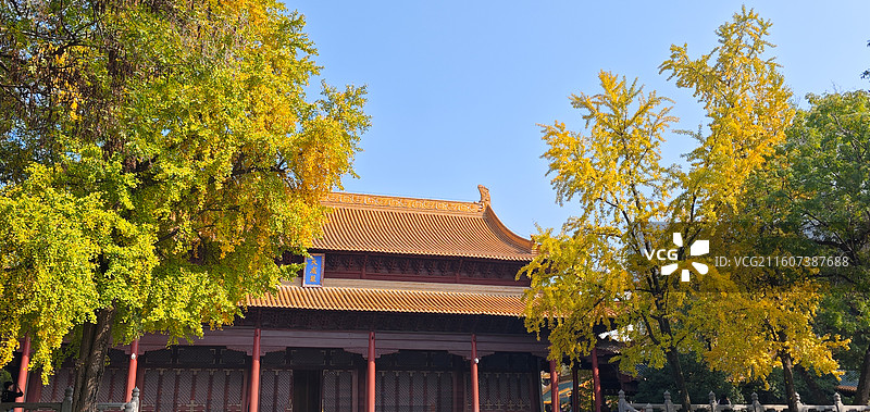 南京朝天宫大成殿秋色图片素材