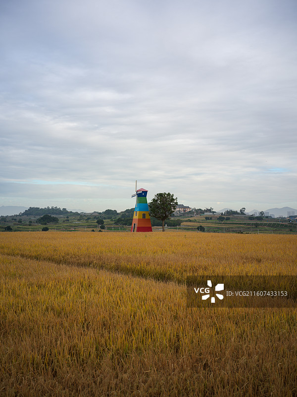 厦门翔安区西岩山田野中的彩色风车图片素材