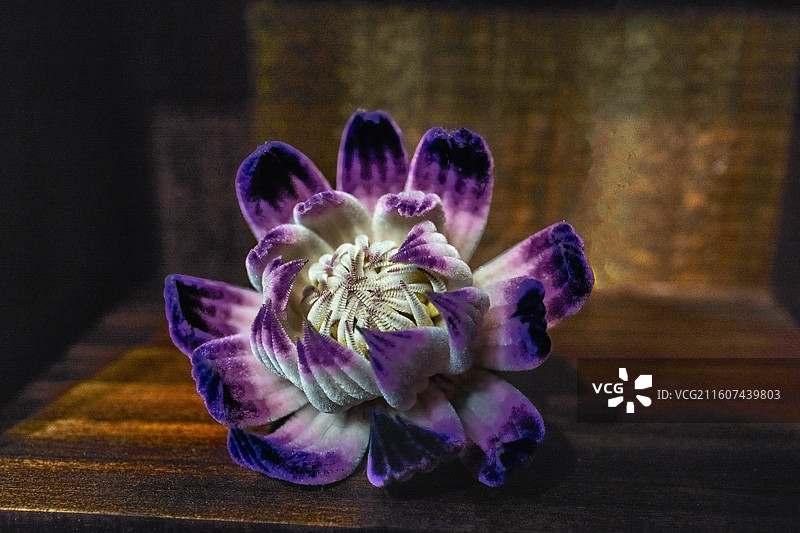 中国历史文化名街扬州东关街中国传统艺术品、非物质文化遗产-扬州绒花展示图片素材