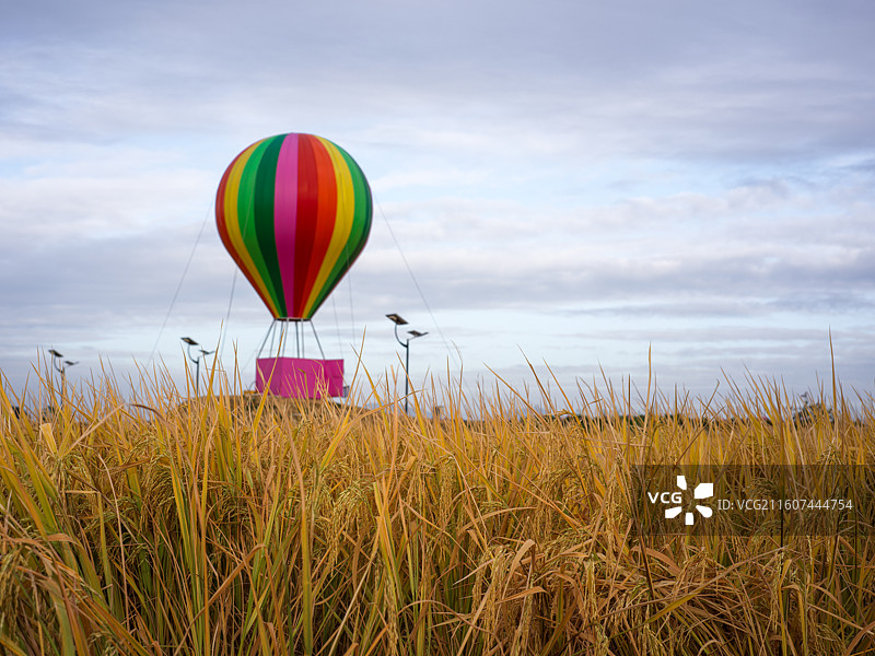 厦门翔安区西岩山稻田旁的彩色热气球图片素材