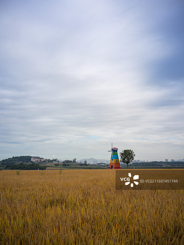厦门翔安区西岩山田野中的彩色风车图片素材