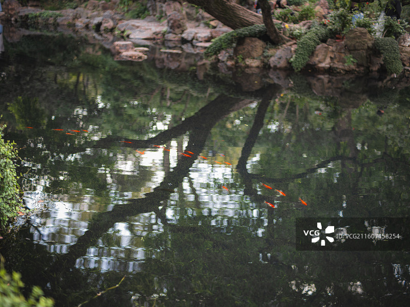 无锡惠山古镇 寄畅园图片素材