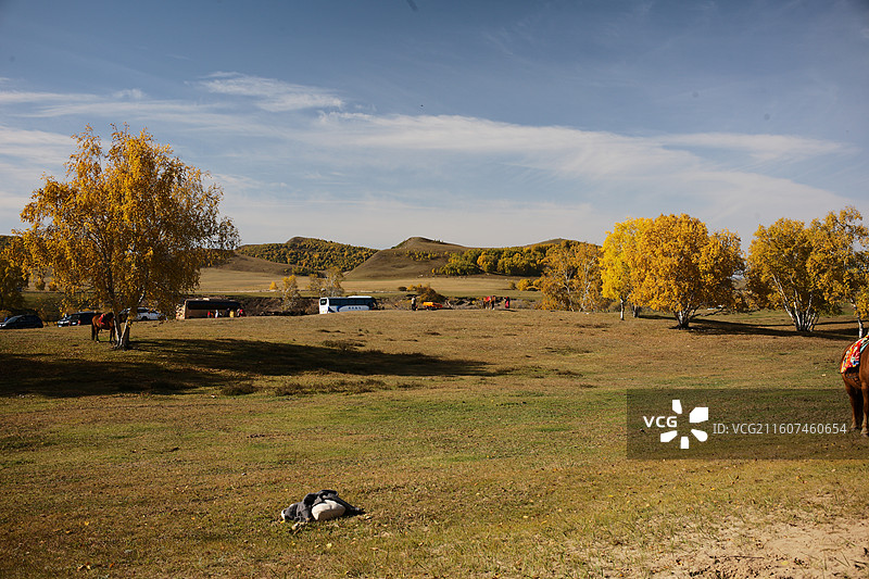 赤峰乌兰布统秋天景色图片素材