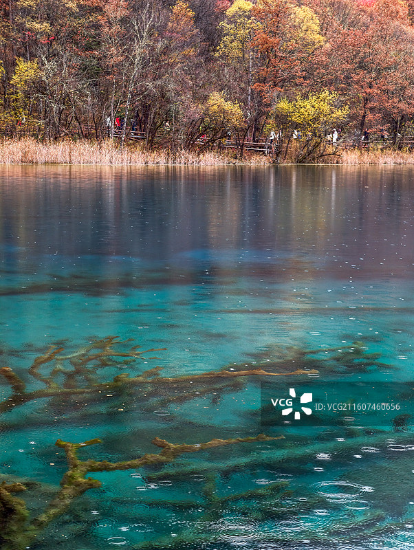 秋天九寨沟图片素材