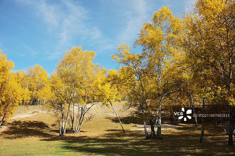 赤峰乌兰布统秋天景色图片素材