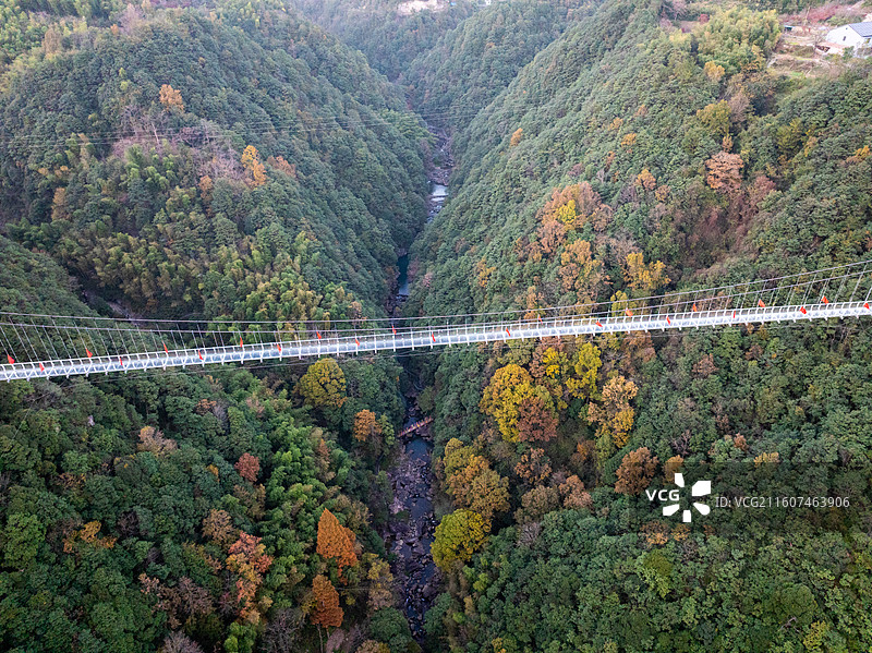 浙江宁波四明山丹山赤水柿林村秋季航拍图片素材