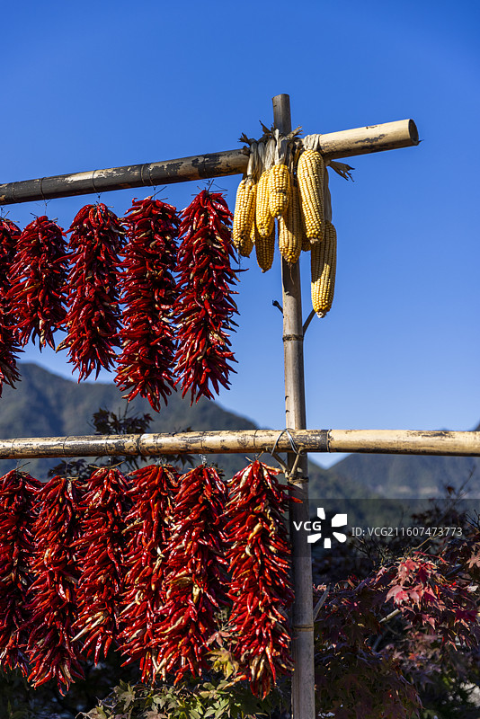 江西婺源篁岭美丽乡村晒秋丰收的喜悦图片素材