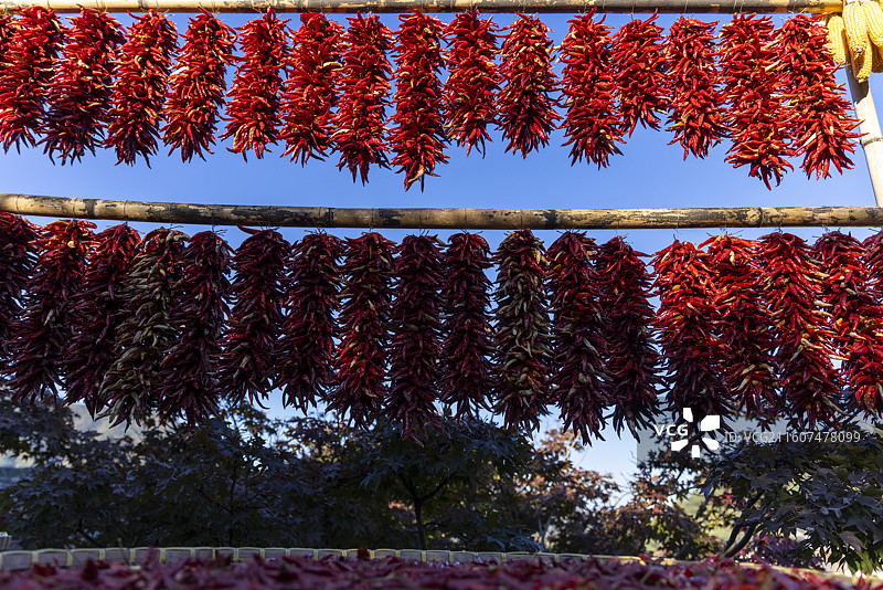 江西婺源篁岭美丽乡村晒秋丰收的喜悦图片素材