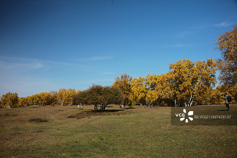 赤峰乌兰布统秋天景色图片素材