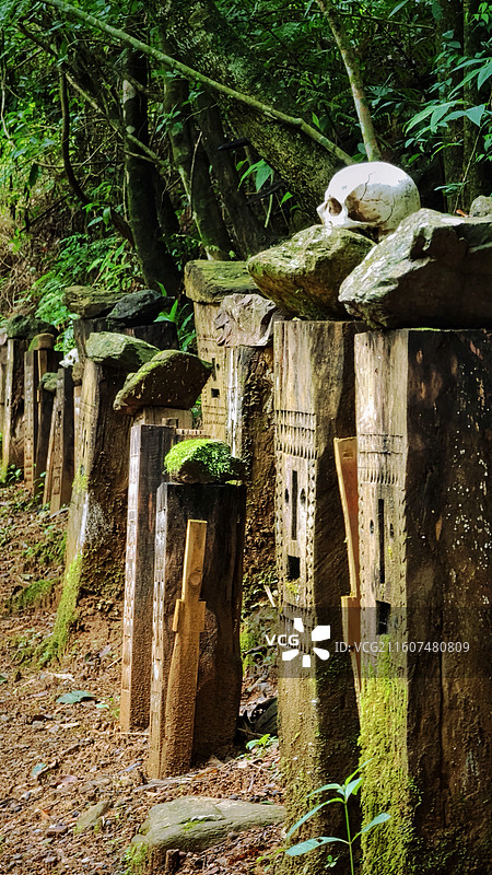 云南 · 临沧 沧源 翁丁佤族古寨 人头桩图片素材