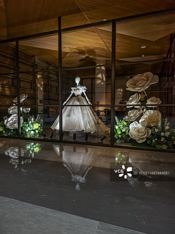 镜中花与月光裙图片素材