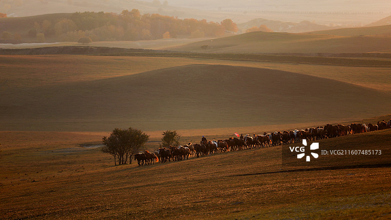 坝上秋色图片素材