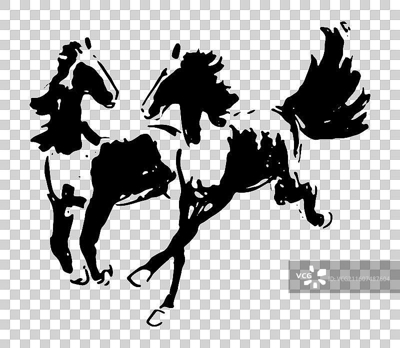 黑马 奔跑图片素材