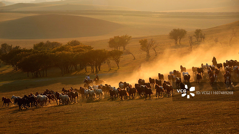 坝上秋色图片素材