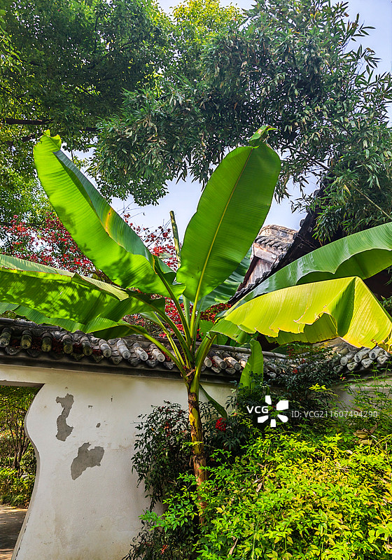 郑州城市公园秋景风光图片素材