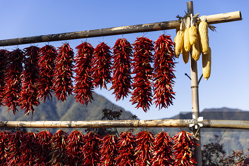 江西婺源篁岭美丽乡村晒秋丰收的喜悦图片素材