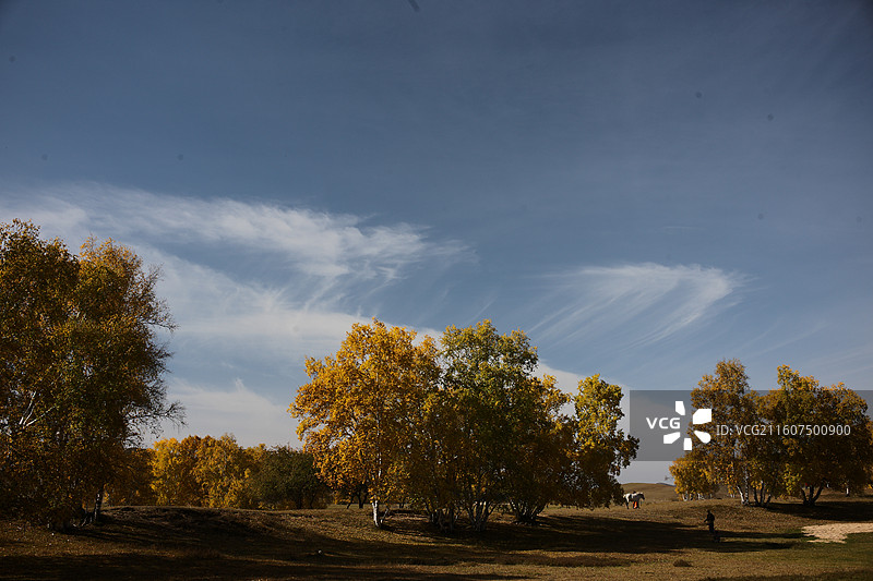 赤峰乌兰布统秋天景色图片素材