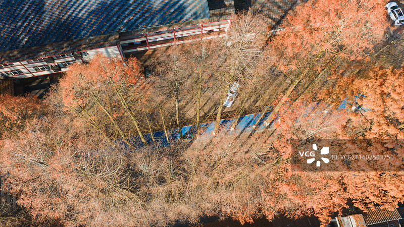 湖北恩施（咸丰）坪坝营国家森林公园初冬风光图片素材