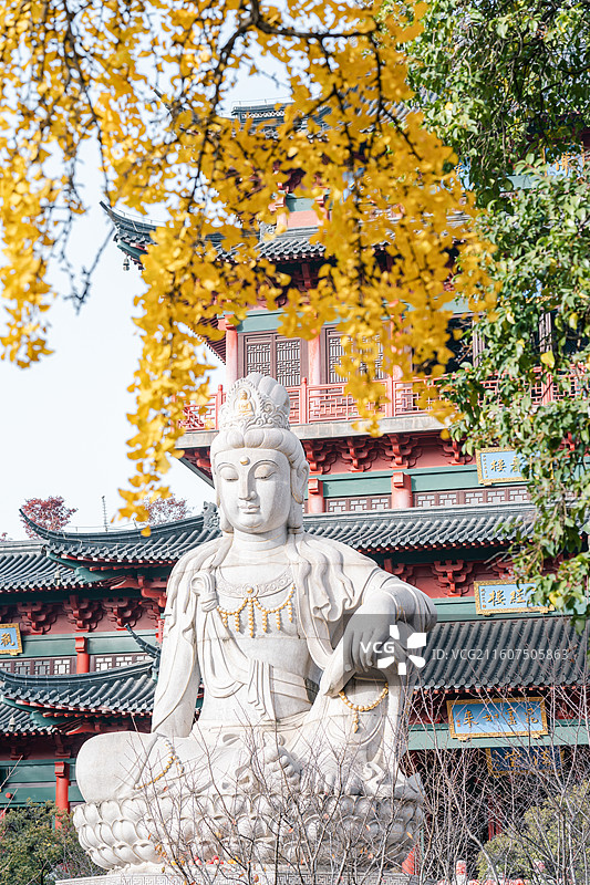 南京毗卢寺银杏与古建筑图片素材