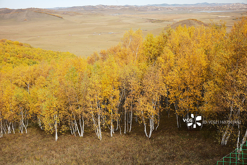 赤峰乌兰布统秋天景色图片素材