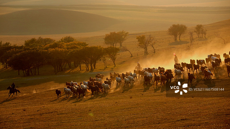 坝上秋色图片素材
