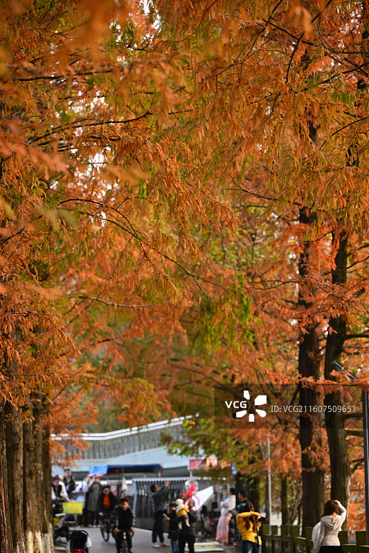 安靖蜀绣公园图片素材