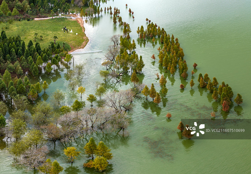 星云湖湿地图片素材